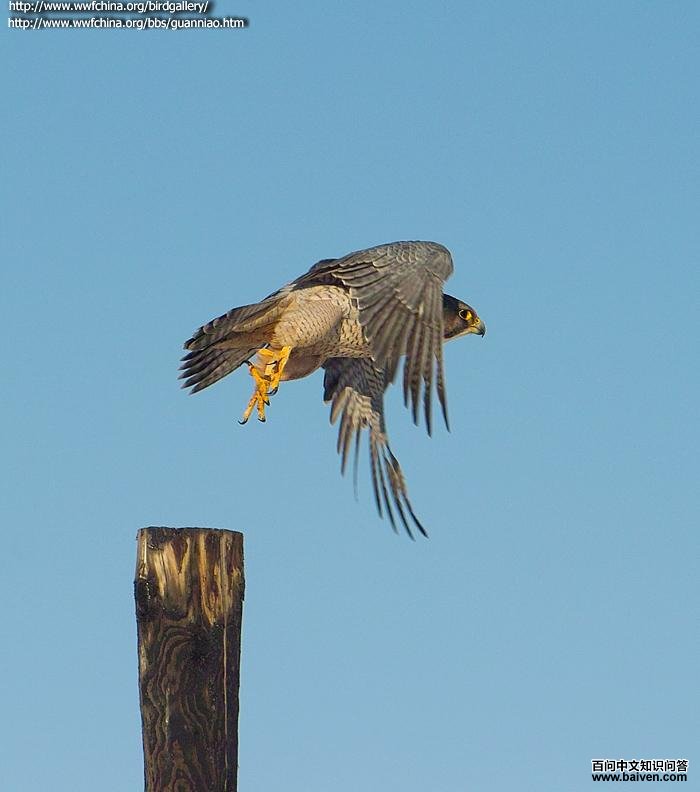 �������������½�