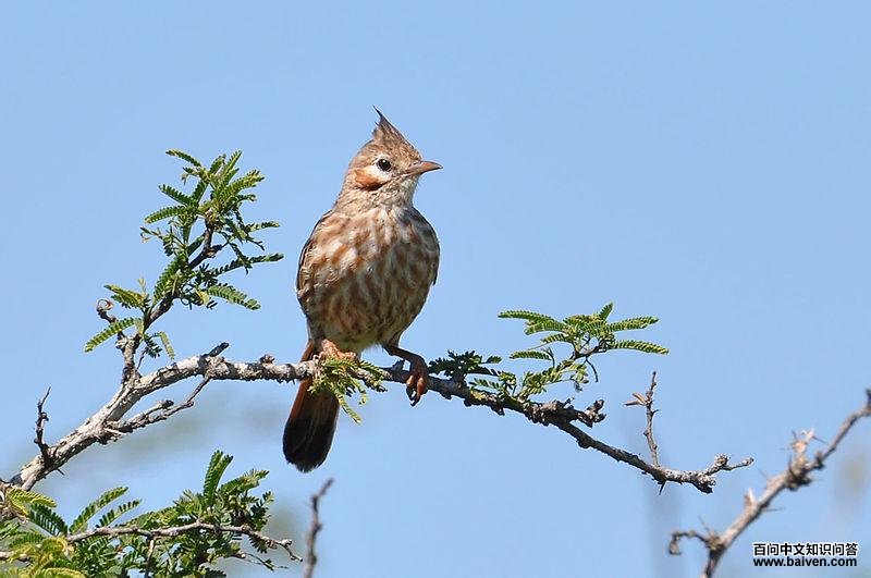 ���ҹ��ȸ��ͼƬ