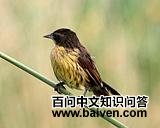 ���ۺ����