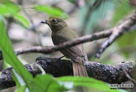 ���ϣ����l