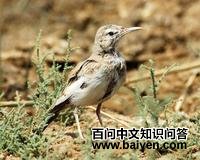 ���ʤ����