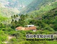 ����έ����