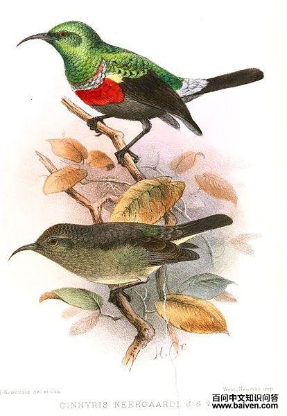 ���ϻ������ͼƬ