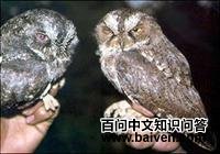 ��ưͽ��^��ͼƬ