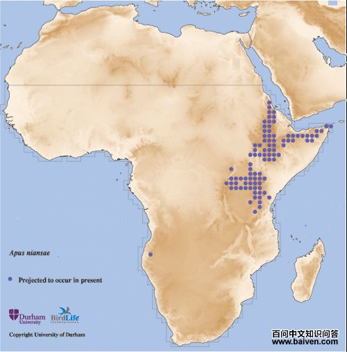 �ᰲ������