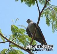 �׾������\