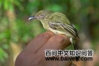 ��������l