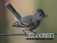 ������С���l