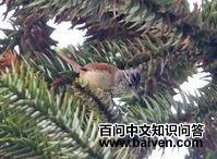 ������βȸ��ͼƬ