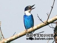 ��Ħ¹������ͼƬ