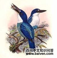 ��Ħ¹�����