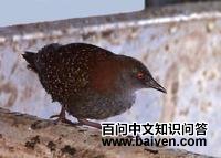 �����Ｆ��