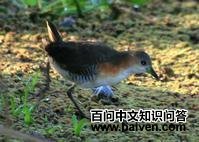 �����Ｆ��