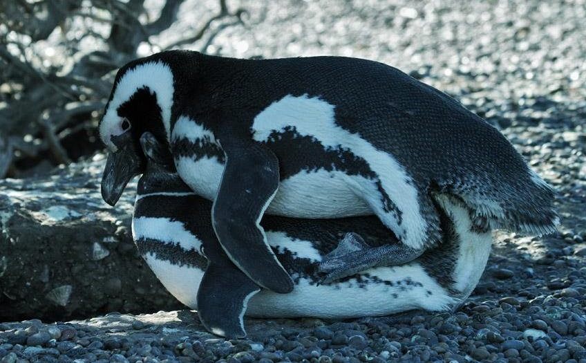 �������