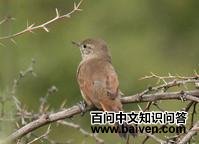 �������������ͼƬ