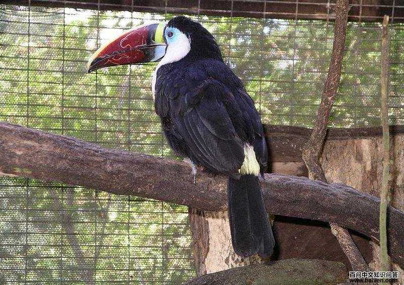 �����������ͼƬ