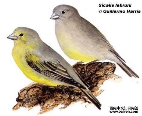 ������ȸ�c����̬����ͼ