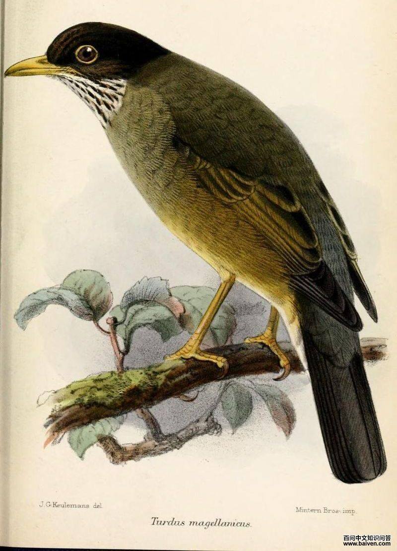 ����𴣺��̬����ͼ