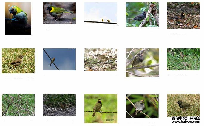 ������ȸ��