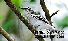 �����V����ͼƬ