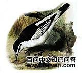 ���������V