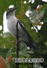 �������V