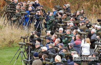 ����ݺʵ�ĳ���