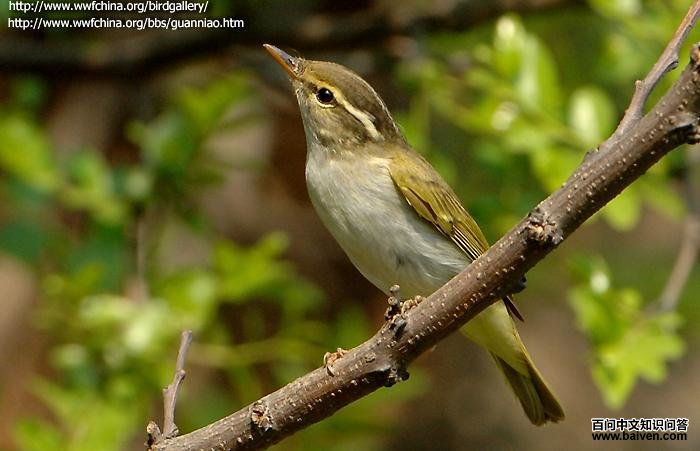 ����ݺ��ͼƬ