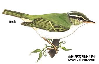 ����ݺ����̬����ͼ