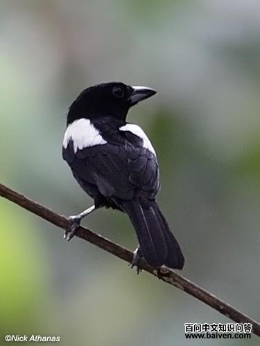 �׼������ȸ