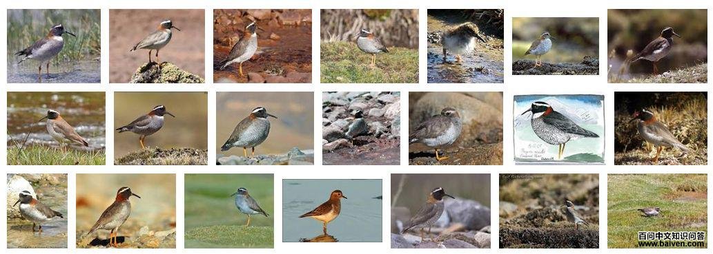 ���a����ͼƬ