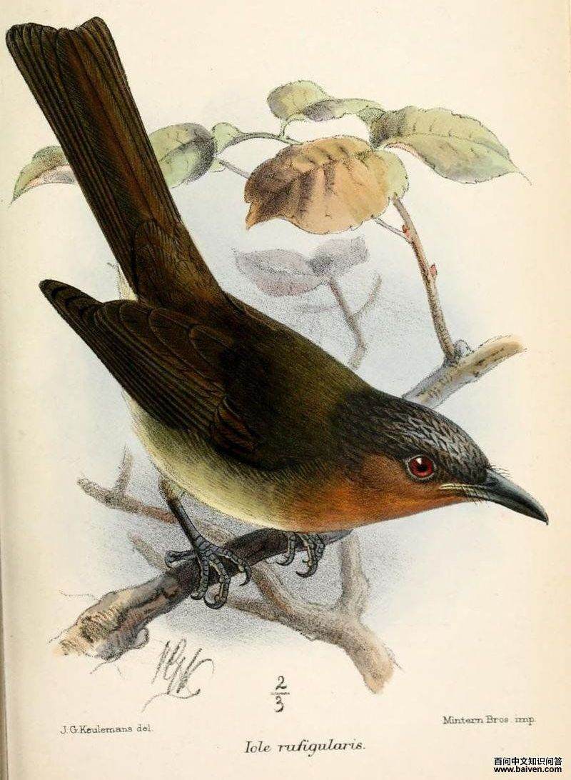 �޵��ǵ�ͼƬ