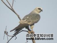 �������Ȼ��