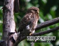 ��³��m��ͼƬ