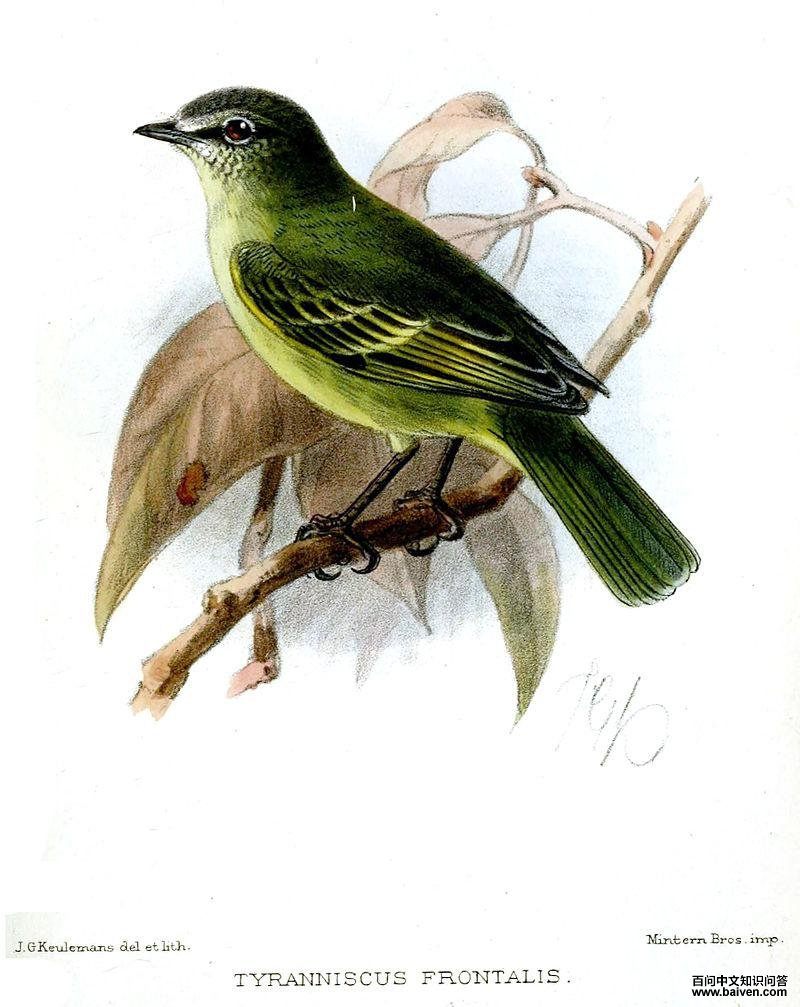 ��³С���l��ͼƬ