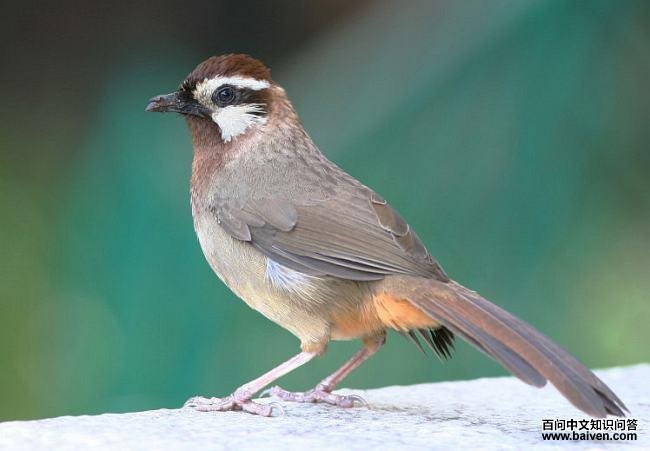 �׼����̵�ͼƬ