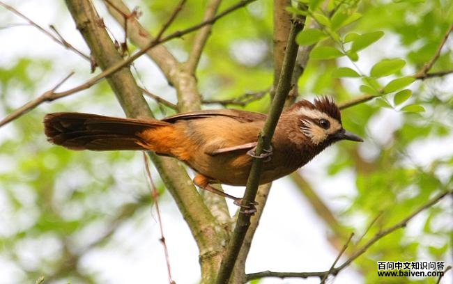 �׼�����