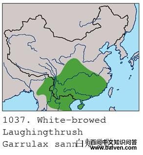 �׼����̣������ֲ�ͼ