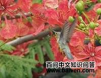 ��³�����ͼƬ