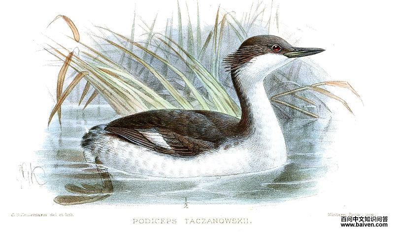 ��³�G�f��ͼƬ