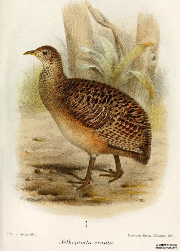 ��³��[����]��ͼƬ