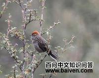 ��³��ü��βȸ��ͼƬ