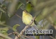 ���ݼ����l��ͼƬ