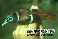 ��ɳ���������ͼƬ