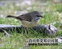 ��˿��ݺ��ͼƬ