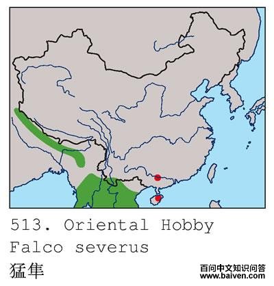 �����������ֲ�ͼ