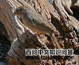 �ض���ȸ�c