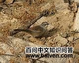 �߹���ȸ�c