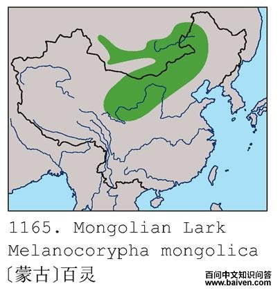 �ɹŰ�������ֲ�ͼ