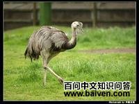 ������������ͼƬ